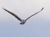 R5_1437_DxO_crop