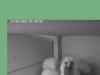 Screenshot_20230627_054942_Chrome