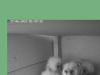 Screenshot_20230627_055019_Chrome