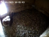 snapshot6