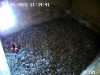 snapshot8