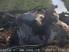 20180527_07-39-43