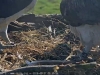 20180527_09-31-00