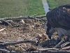 20180529_11-38-11
