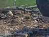 20180529_11-39-19