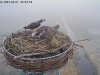 snapshot_2025_04_01_06_47_19