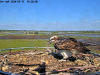 snapshot_2024_05_11_16_27_34