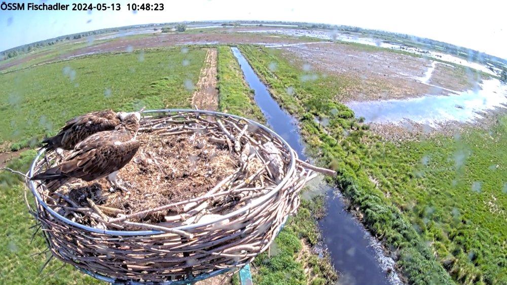 snapshot_2024_05_13_10_47_45