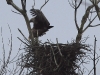 seeadler-6-04-03-20120001