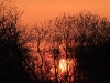 sonnenaufgang-16-04-20120001