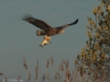 01-seeadler-kj3-12-03-2014