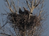 04-seeadler-ad-12-03-2014