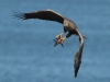 06-seeadler-ad-03-05-2014