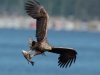 07-seeadler-ad-03-05-2014