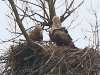 08 Seeadler 30.04.2016