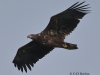 01 Seeadler JK 08.08.2016