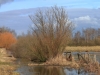 05  Ansicht Heudamm westl.  05.03.2017