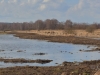 12  Ansicht v. Heud. NW 05.03.2017 - Kopie