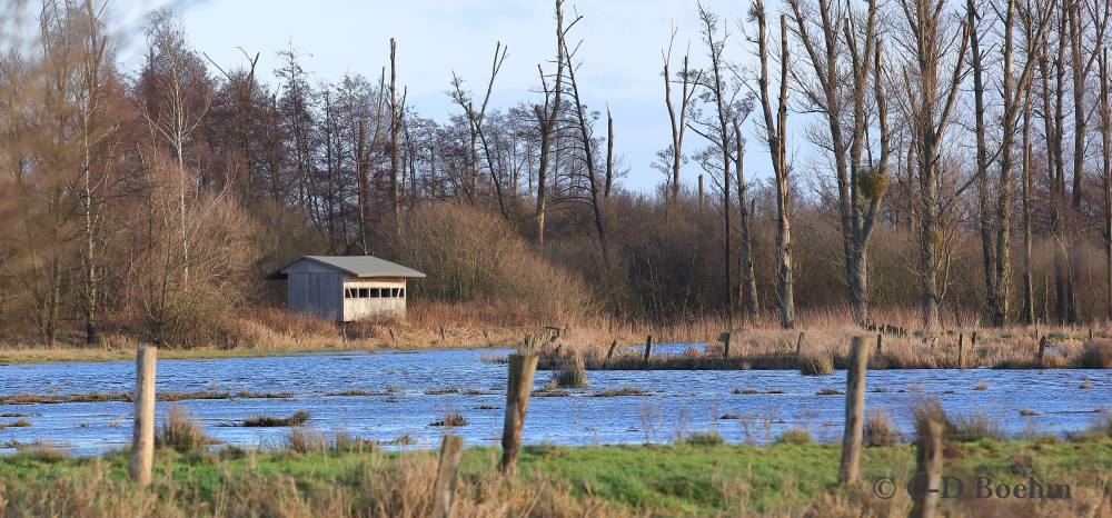 02 Feuchgebiet NSG Winzlar 01.01.2018 m.K