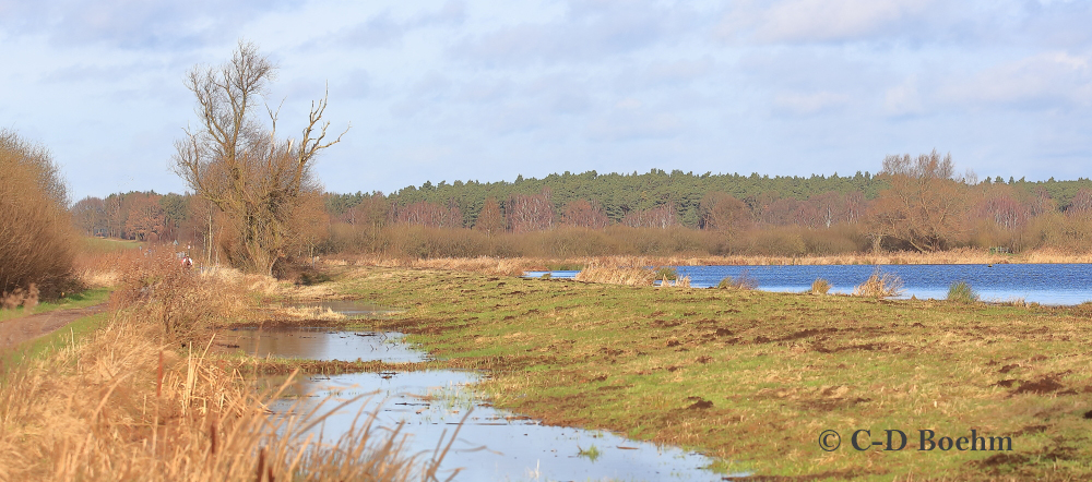 04 Feuchgebiet NSG Winzlar 01.01.2018 m.K