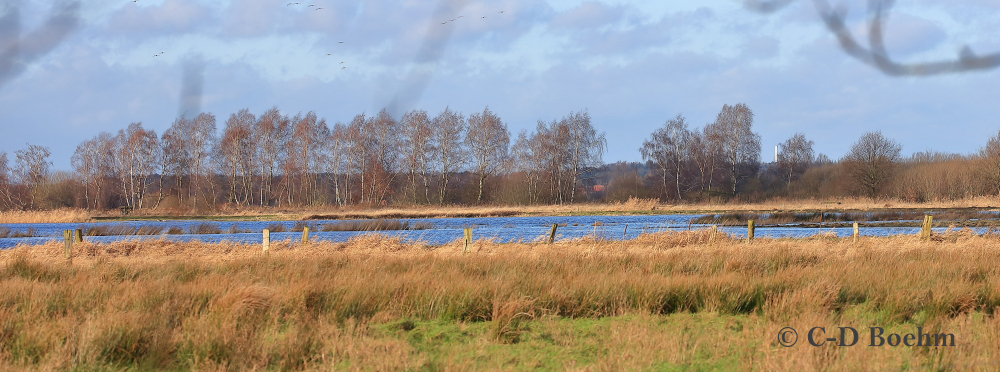 05 Feuchgebiet NSG Winzlar 01.01.2018 m.K
