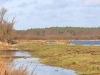 04 Feuchgebiet NSG Winzlar 01.01.2018 m.K