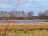 05 Feuchgebiet NSG Winzlar 01.01.2018 m.K
