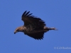 08 Seeadler K2 30.03.2018 m.K