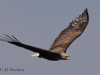 02 Seeadler ad 23.04.2018 m.K