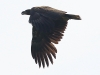 07 Seeadler K2 15.05.2018 m.K