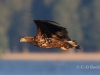02 Seeadler 15.09.2018 m.K