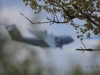07 Flugzeug Luftwaffe  06.05.2019 m.K