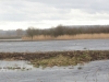 05 Wassersituation Neue Ueberschw.. 25.02.2020