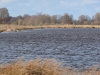 09 Wassersituation  Kleines Vogelbiotop. 25.02.2020