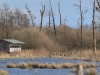 11 Wassersituation  Huette 2. 25.02.2020