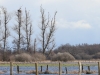 12 Wassersituation  Seeadler Horst. 25.02.2020
