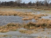 13 Wassersituation  Froschtuempel. 25.02.2020