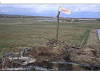 Fischadler-Horst-06.04.2021