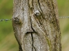 natur-kunst-24-04-20120001