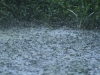 14-wetter-25-06-20120001