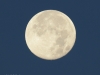 mond-01-10-20120001