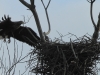 08-seeadler-27-12-20120001