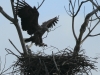 09-seeadler-27-12-20120001