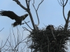 10-seeadler-27-12-20120001