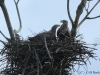 12-seeadler-27-12-20120001