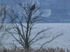 10-seeadler-22-04-20130001