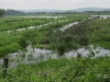 03-wasserstand-29-05-2013