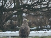 12-seeadler-28-01-20130001