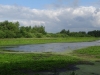 DSC08380