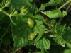 DSC06389